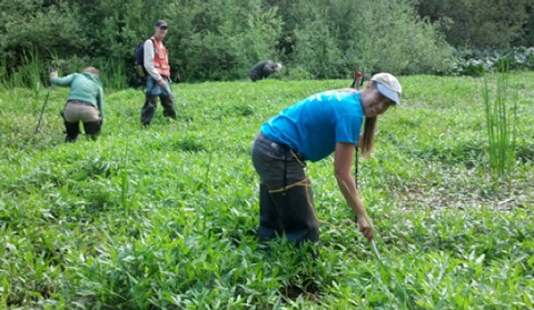 botanists